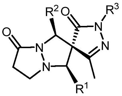 Chiral spiro pyrazolone compound and preparation method thereof