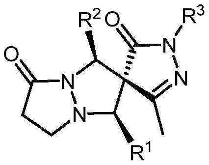 Chiral spiro pyrazolone compound and preparation method thereof