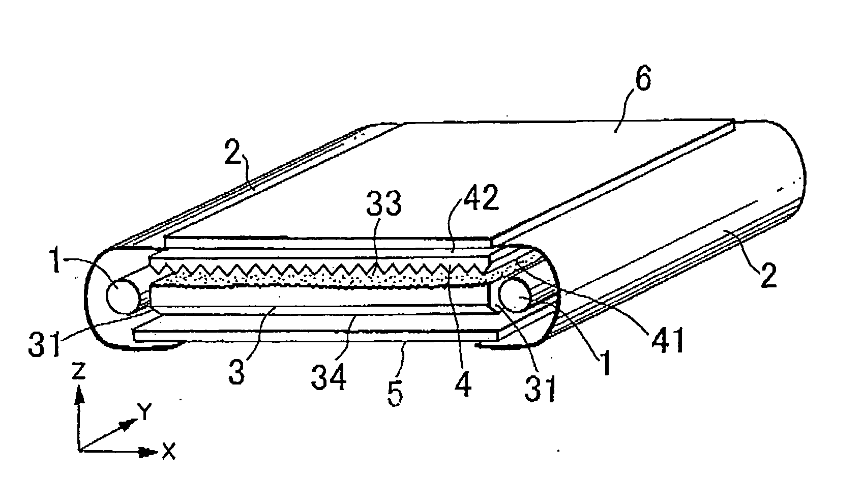 Light source device and light polarizing element