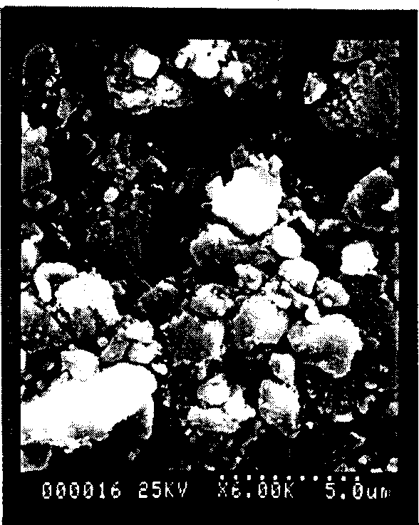 Calcium phosphate cement and use and method for making same