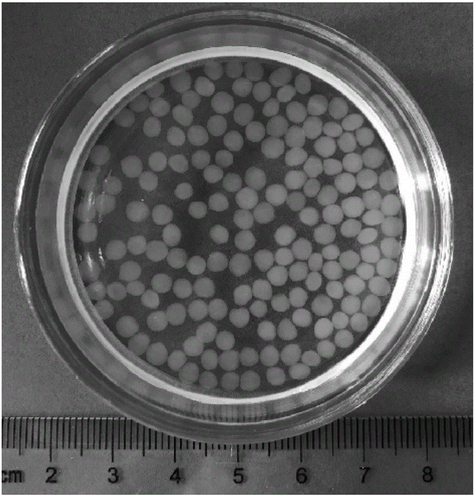 Quaternization cellulose bead as well as preparation method and application thereof