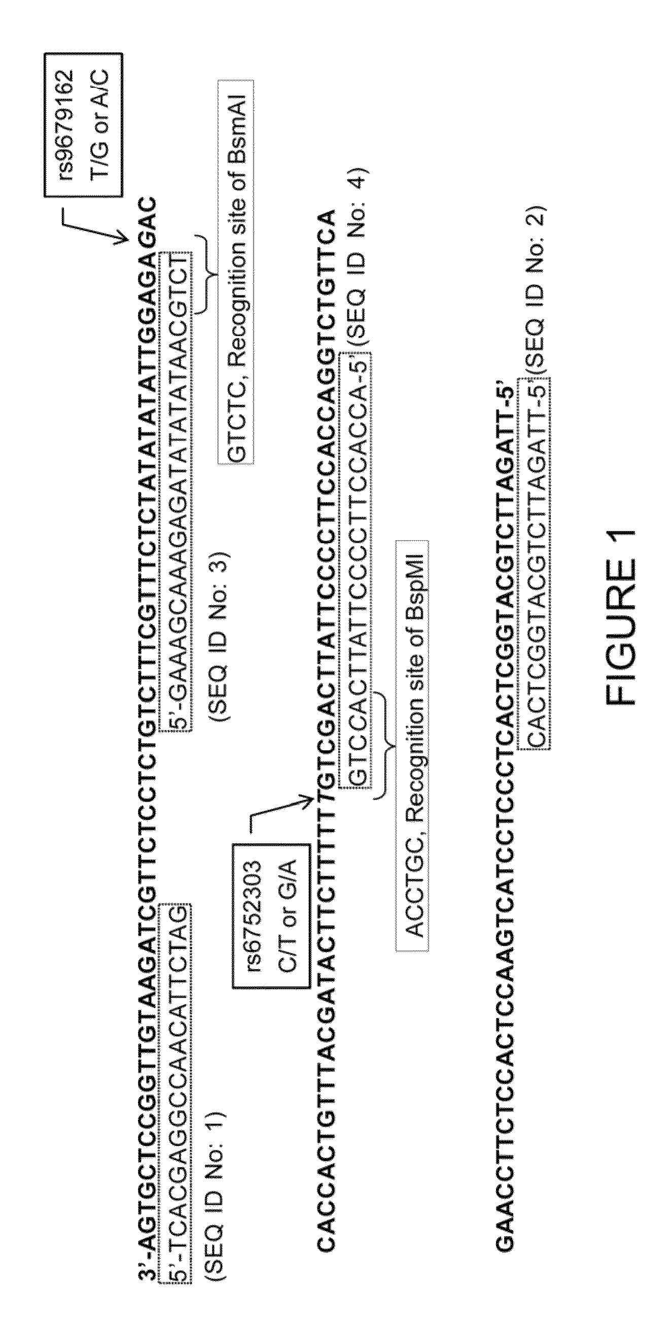 Methods and kits for predicting the responsiveness of hepatocellular carcinoma patients to 5-fluorouracil-based combination chemotherapy