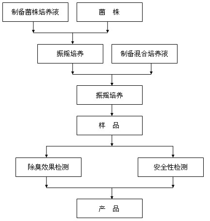 Microorganism deodorant and preparation method thereof