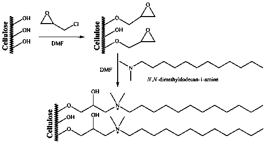 Biomass material for solidifying quaternary ammonium salt as well as preparation method and application thereof