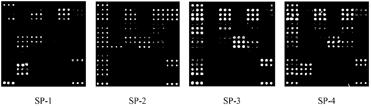 HIV-1 virus protease inhibitor drug resistance mutation detection kit and method