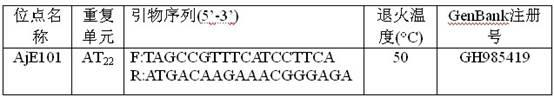 Detection method for Apostichopus japonicas AjE101 micro-satellite DNA label