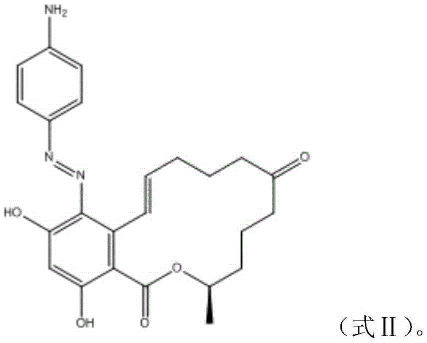 Immunomagnetic beads for gathering purification of zearalenone and preparing method and application of immunomagnetic beads