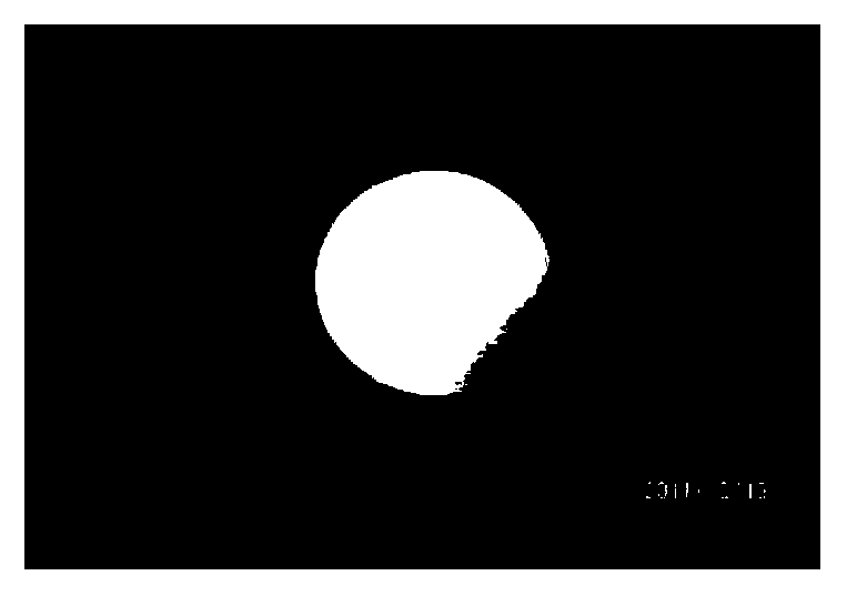 Microsphere tissue engineering scaffold used in beauty filling, and preparation method of microsphere tissue engineering scaffold