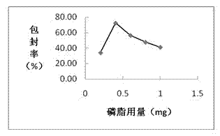 Preparation method of radix rehmanniae polysaccharide liposome