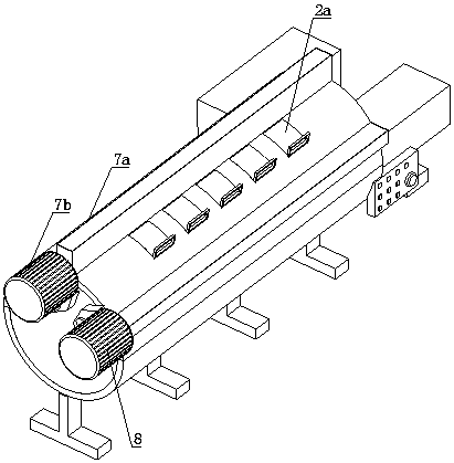 Storage rack for umbilical cord mesenchymal stem cells