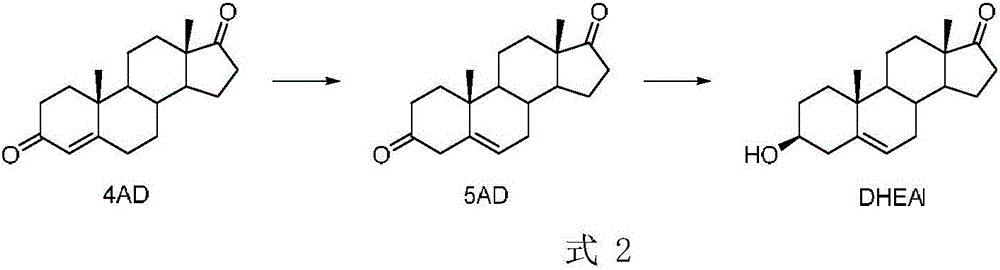 Method for preparing dehydroepiandrosterone through chemical-enzyme method