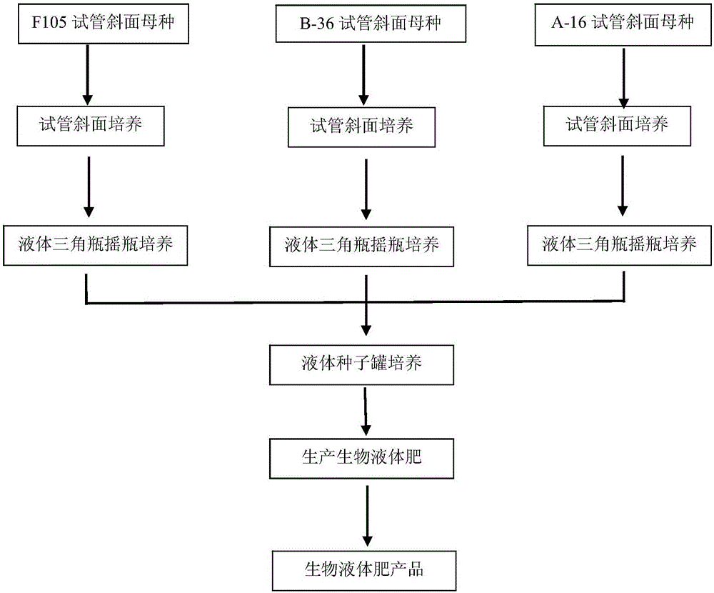 Yeast fused strain mixed bacterial agent and method of fermenting organic waste water therewith to prepare liquid fertilizer