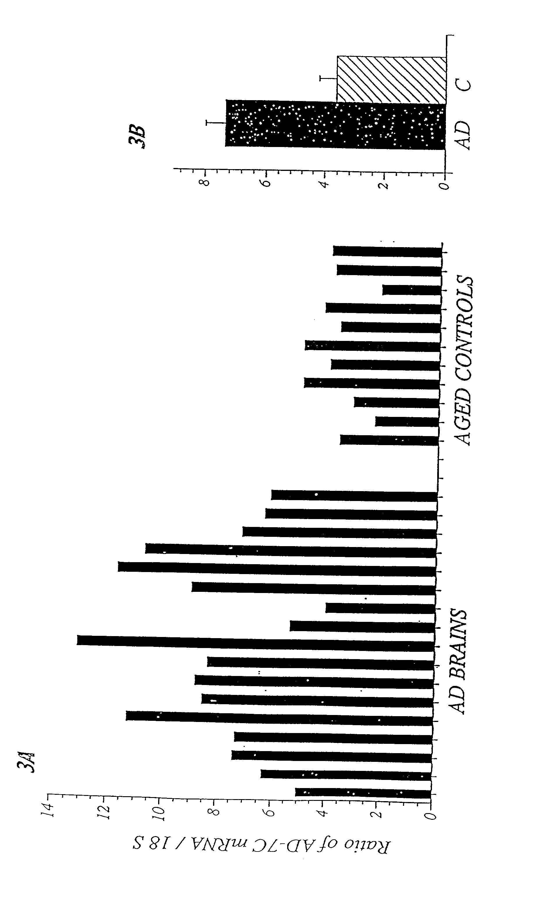 Transgenic animals and cell lines for screening drugs effective for the treatment or prevention of alzheimer's disease