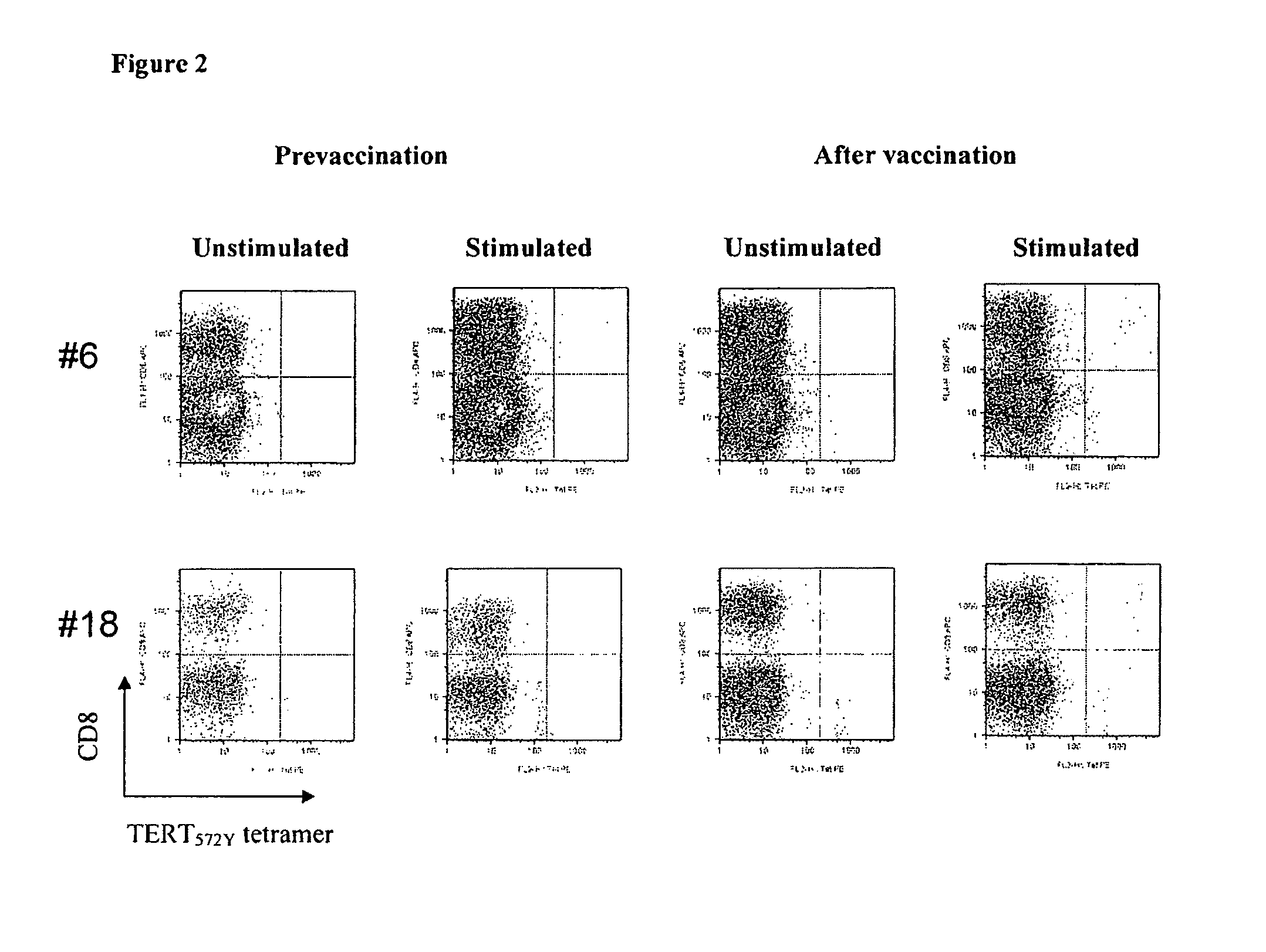 Use of native peptides and their optimized derivatives for vaccination