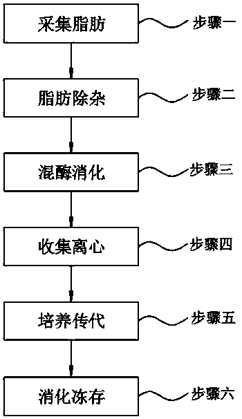 Human adipose derived stromal cell separation and culture method