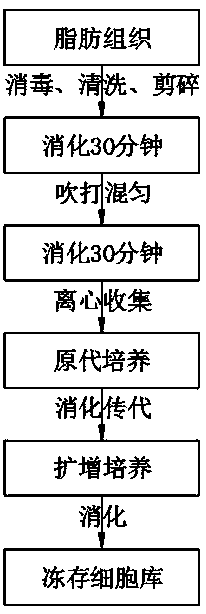 Human adipose derived stromal cell separation and culture method