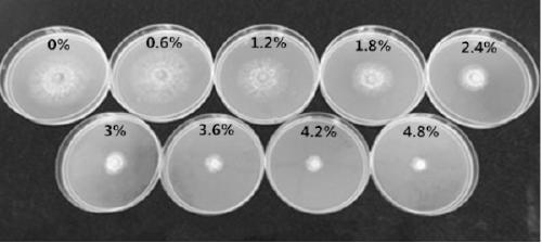 Biological activity conditioning agent for improving greenhouse soil salinization, and application thereof