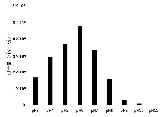 Biological activity conditioning agent for improving greenhouse soil salinization, and application thereof