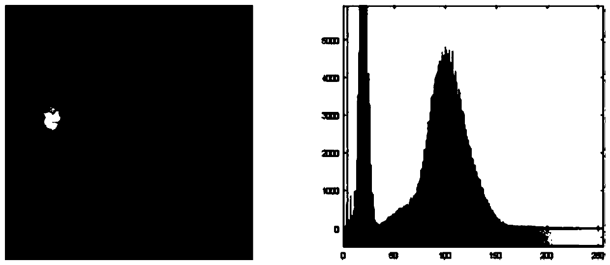 FCM-based diabetic retina image optic disk segmentation method