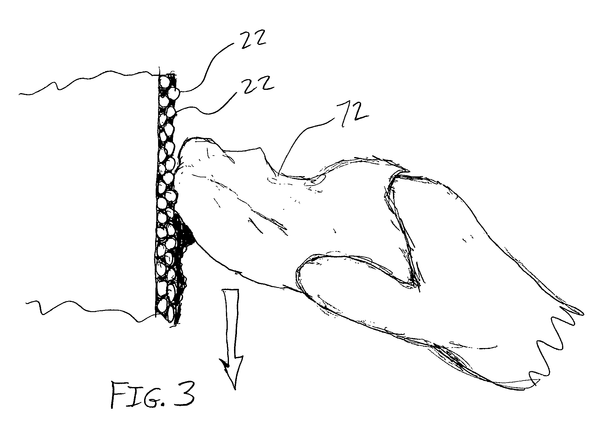 Coating an implant for increased bone in-growth