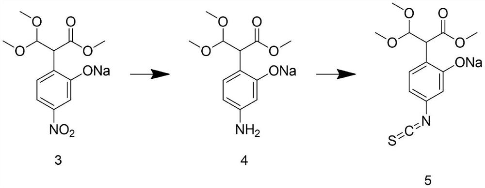 Bactericidal composition containing captan and cymoxanil and preparation method thereof