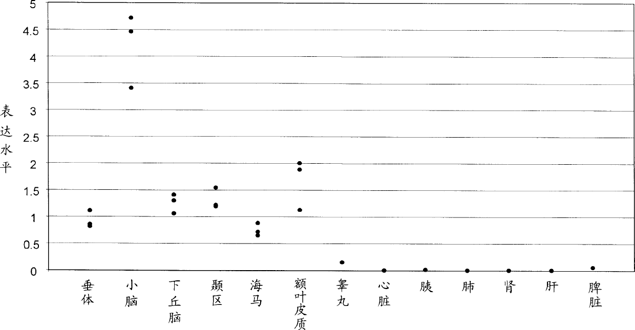 CRH responsive genes in CNS