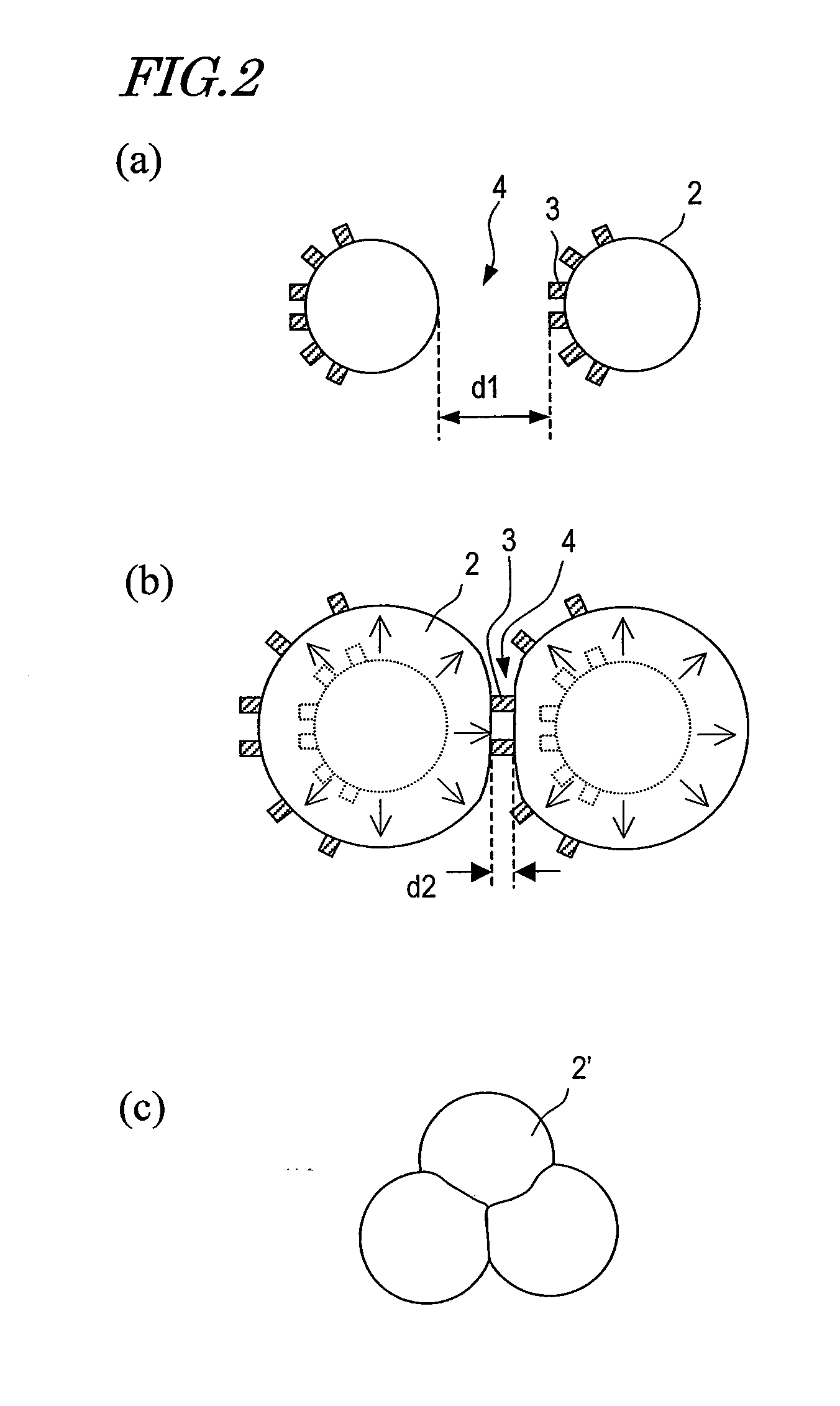 Negative electrode for nonaqueous electrolyte secondary battery