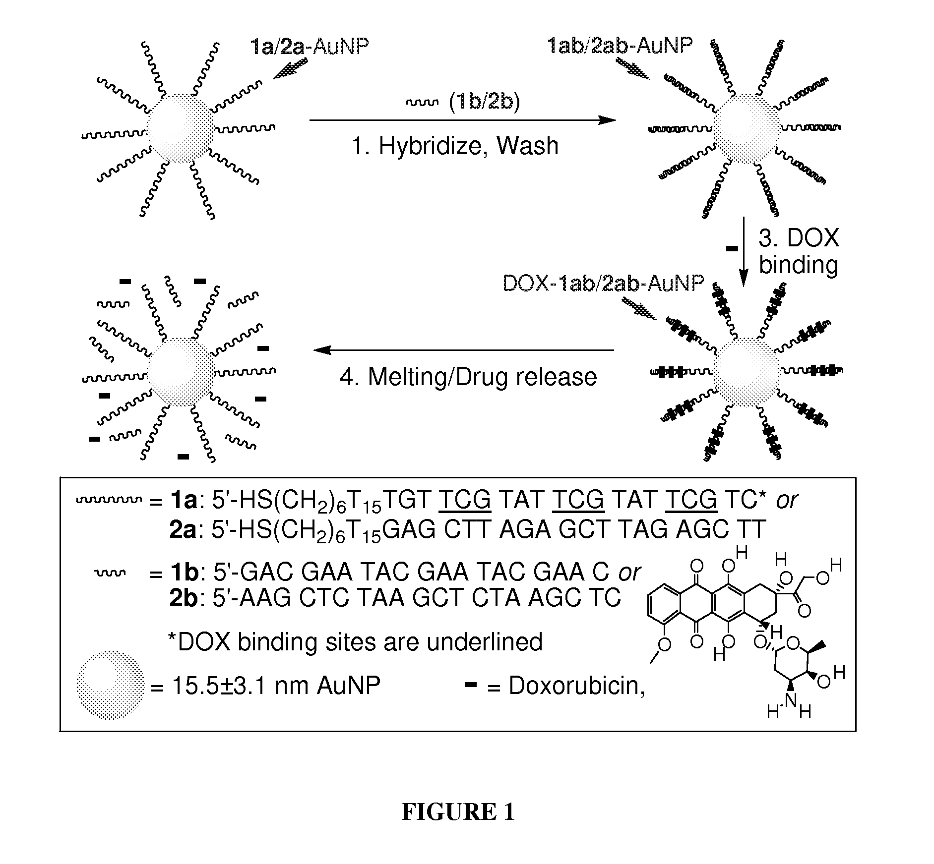 System and method for delivery of DNA-binding chemotherapy drugs using nanoparticles