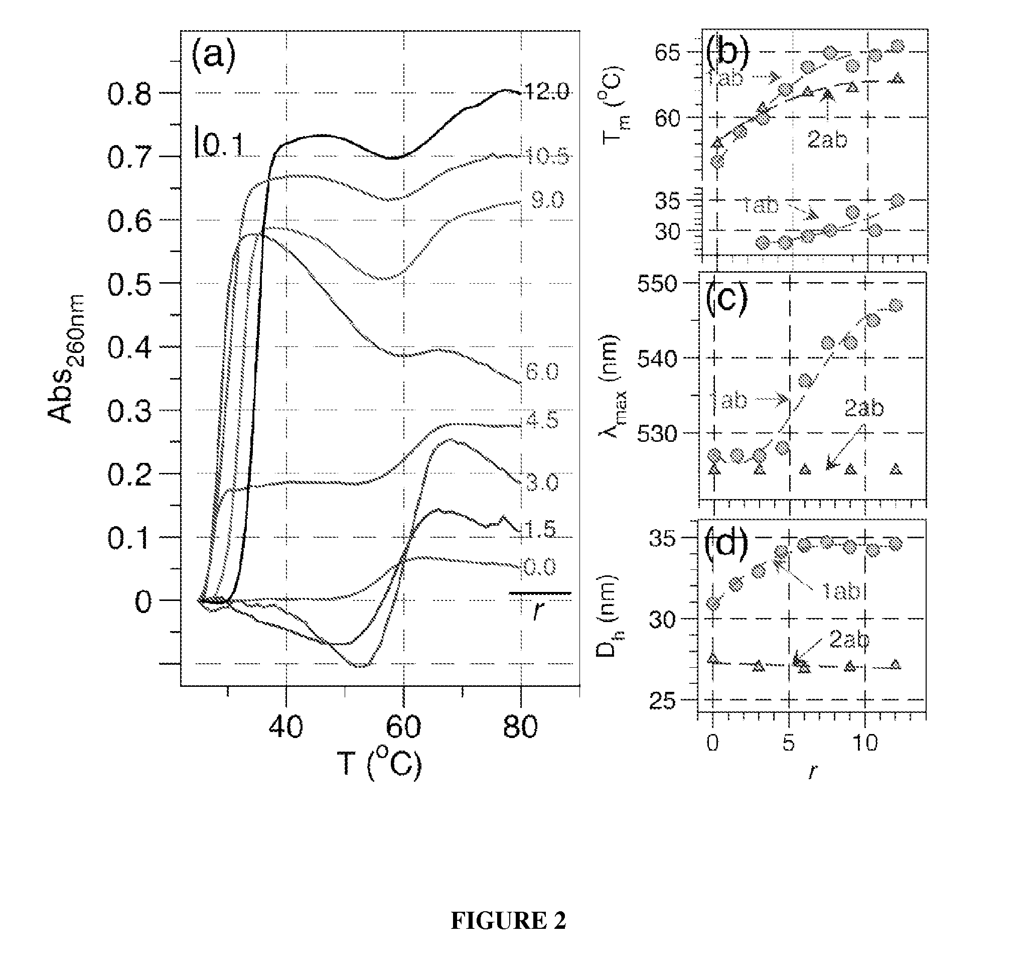 System and method for delivery of DNA-binding chemotherapy drugs using nanoparticles