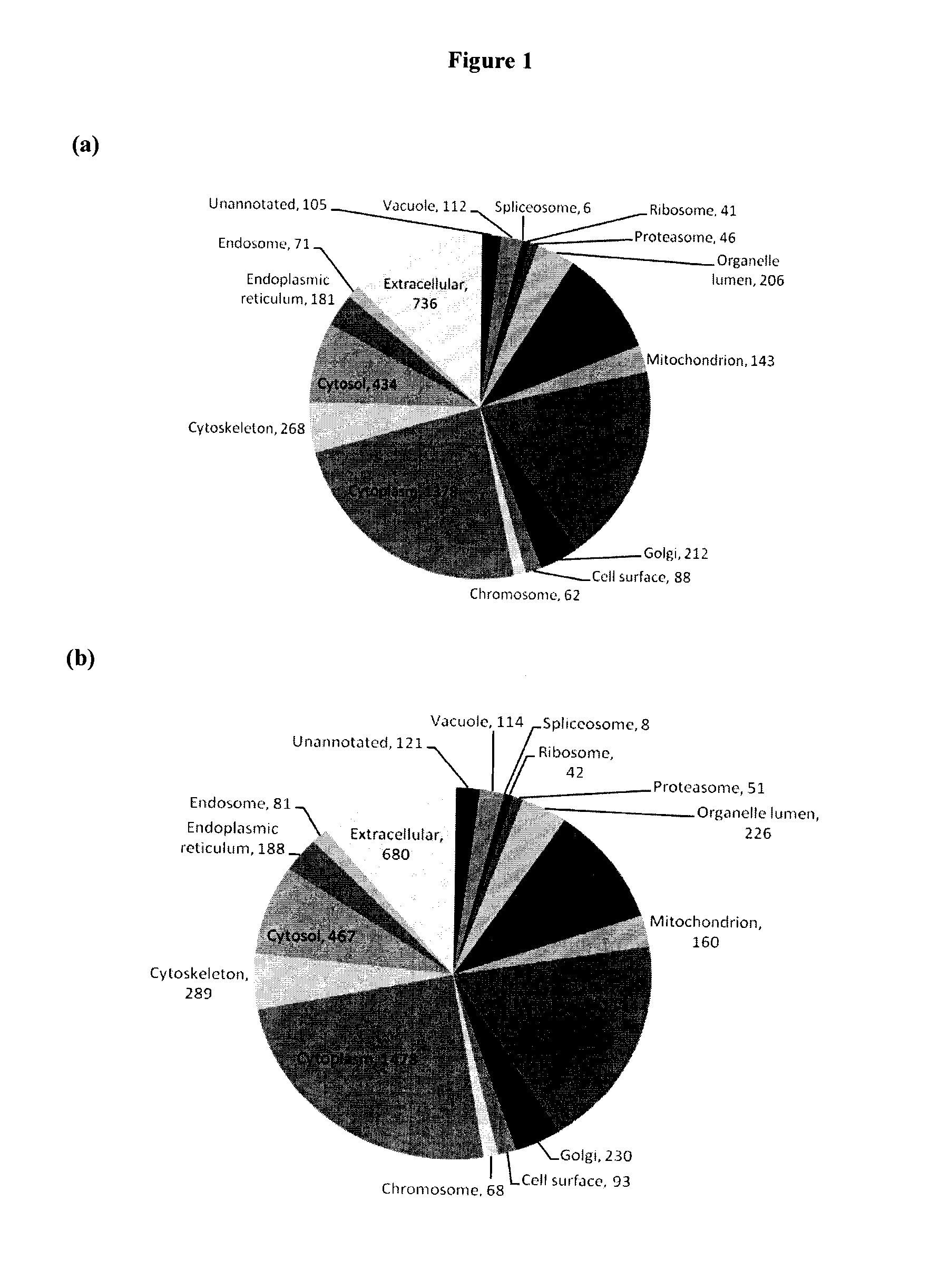 Markers of the male urogenital tract