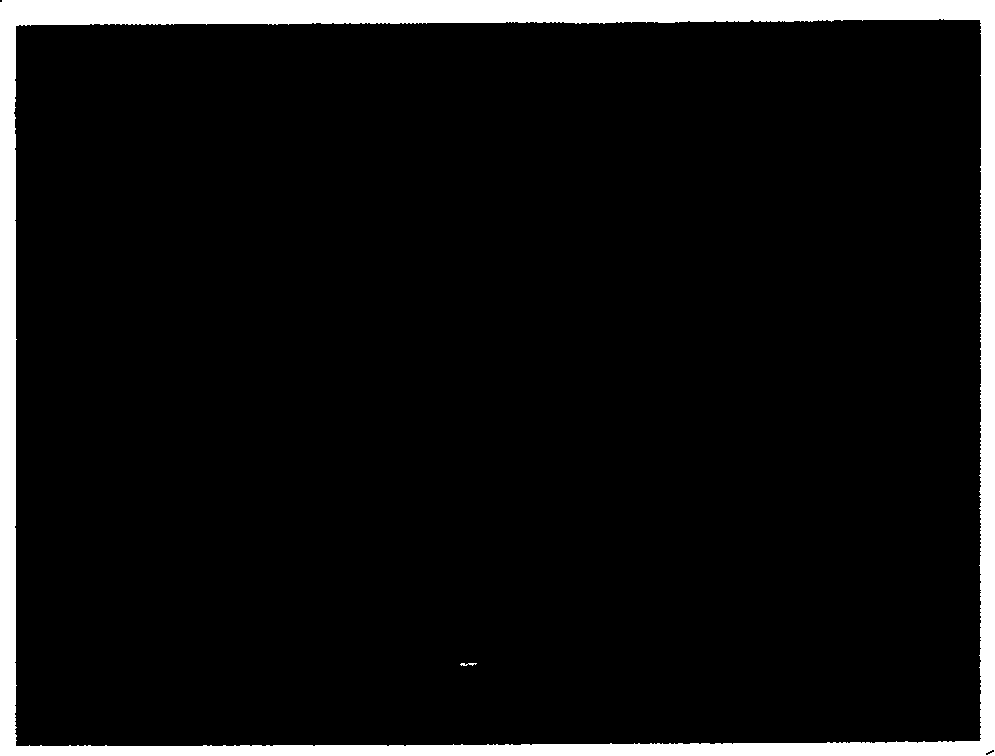 Anode material of lithium ion battery in use for safety type miner's lamp, and manufacturing method