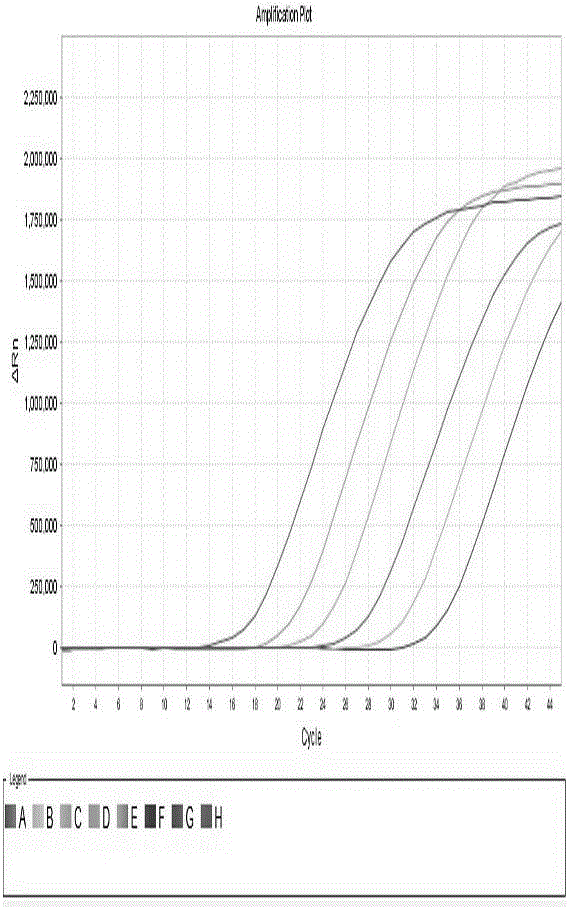 Using method for extracting virus DNA by using micro-nucleic acid releasing agent