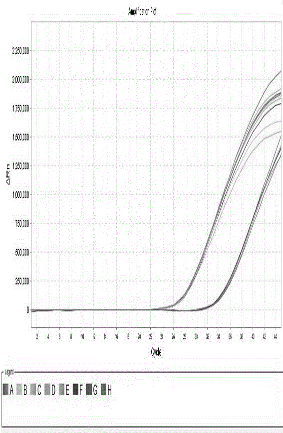 Using method for extracting virus DNA by using micro-nucleic acid releasing agent