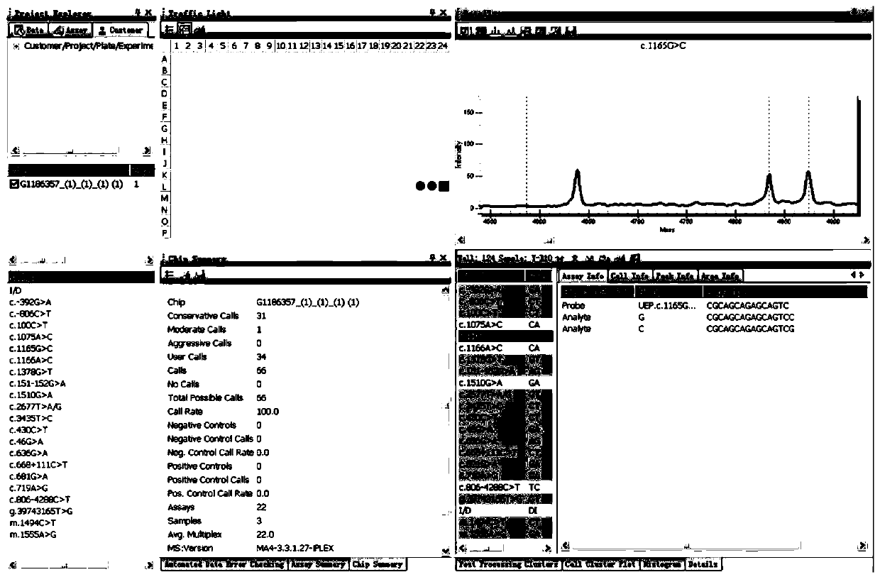 Primer sequence and test kit for gene detection of safe medication for children