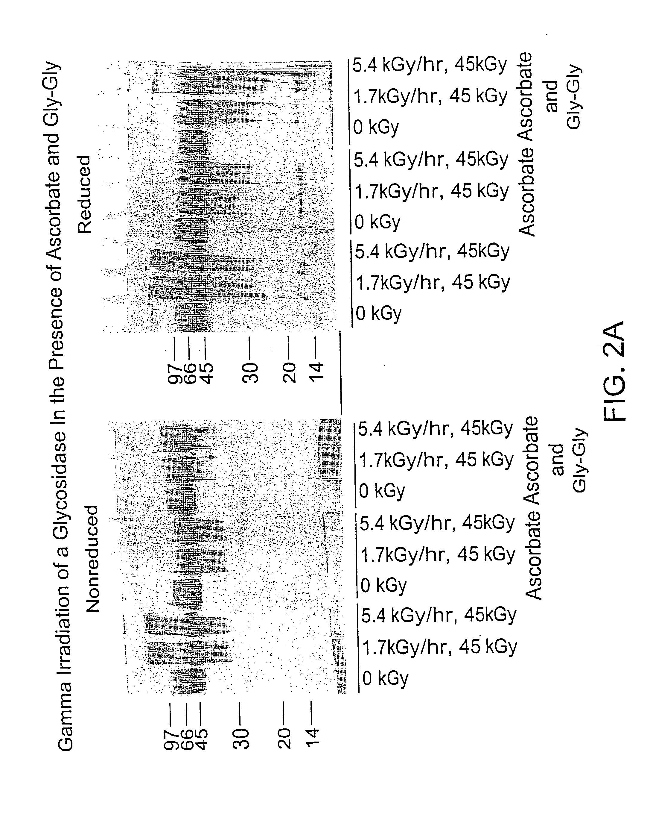 Methods of sterilizing biological mixtures using stabilizer mixtures