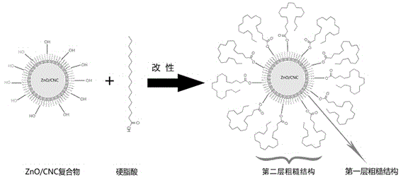 Preparation method of zinc oxide and cellulose nanocrystal composite super-hydrophobic coating