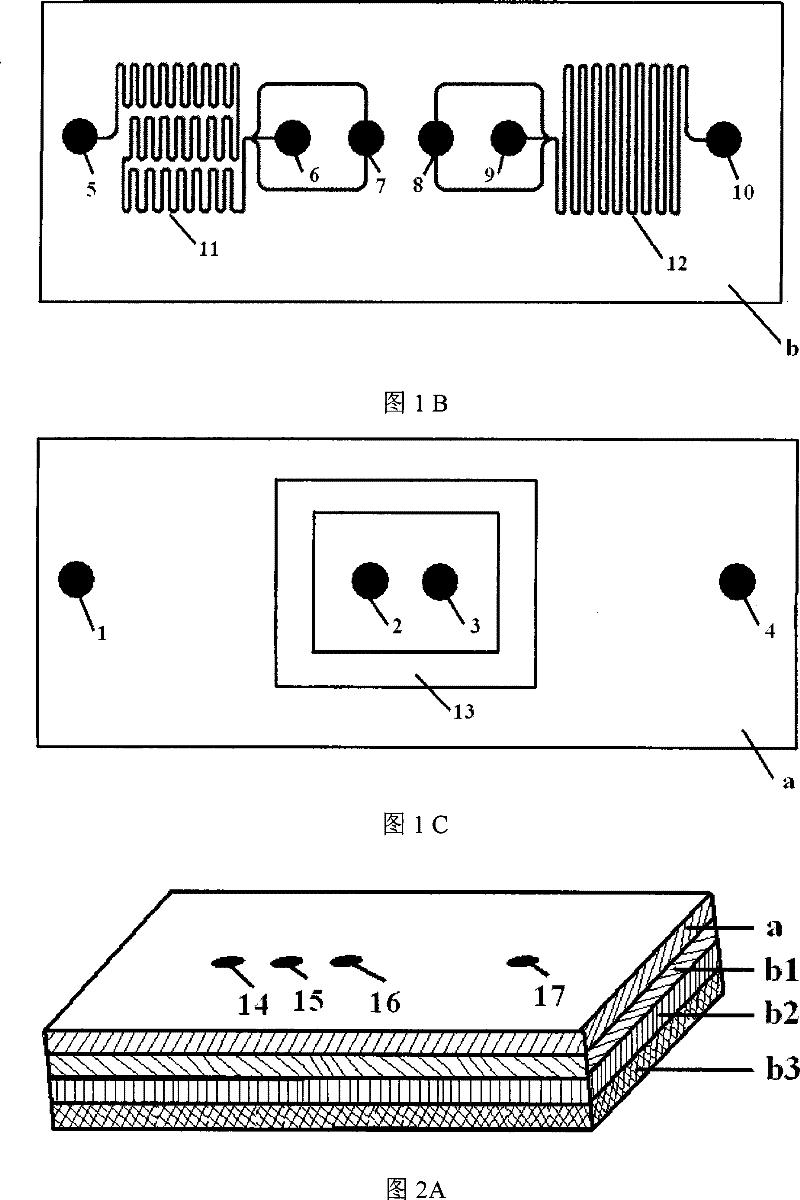 Sample pretreatment integrated chip