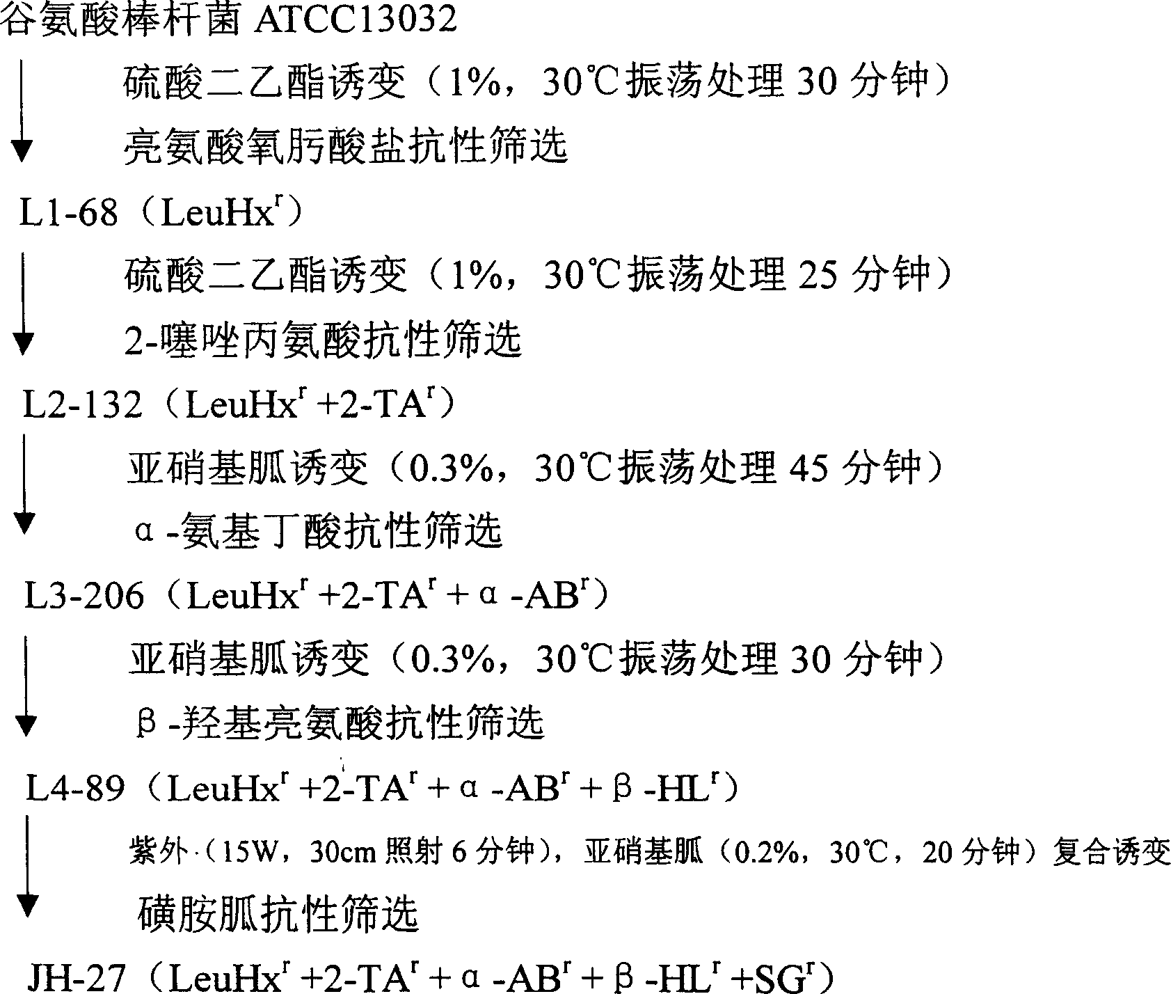 L-leucine high-yield bacterium and fermentation method using the same for L-leucine production