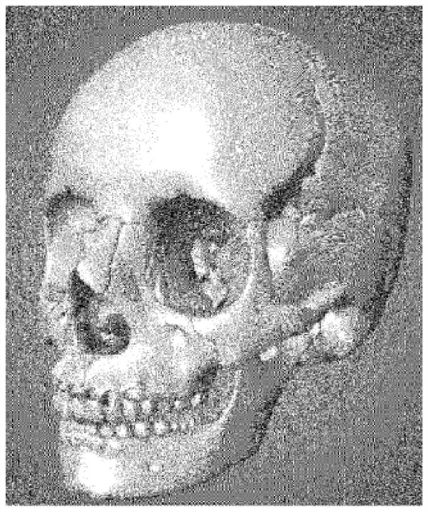 Dental system having baseline enabling digital three-dimensional tooth model to be merged with anatomical location and plane analysis of human body