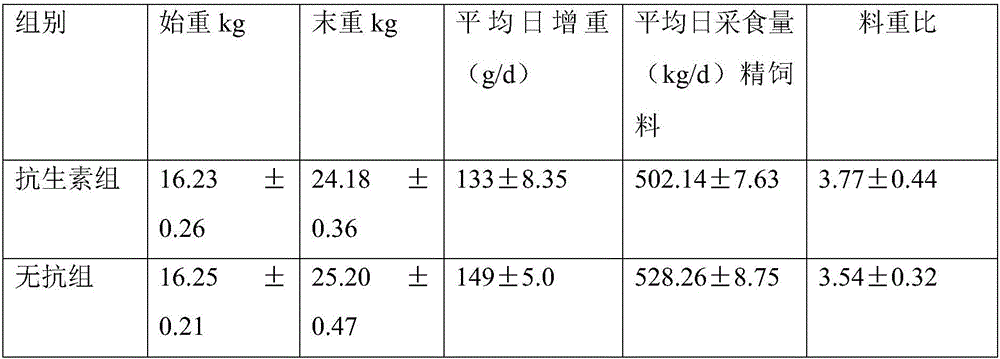 Sheep feed free of antibiotic addition and preparation method thereof