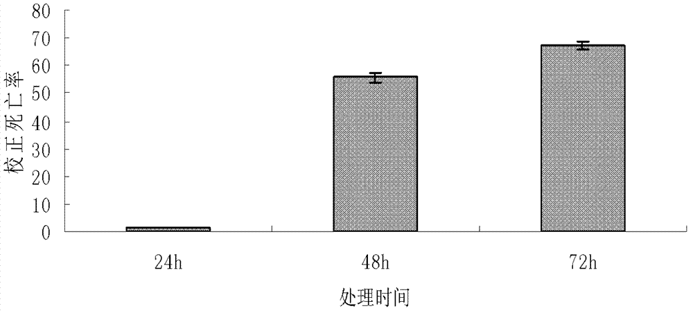 Trichoderma fungus with nematicide activity as well as preparation method and application thereof