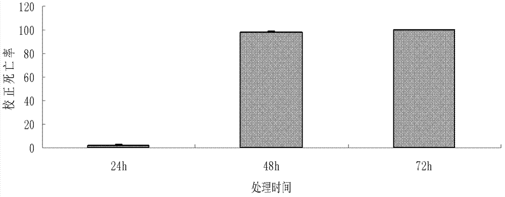 Trichoderma fungus with nematicide activity as well as preparation method and application thereof