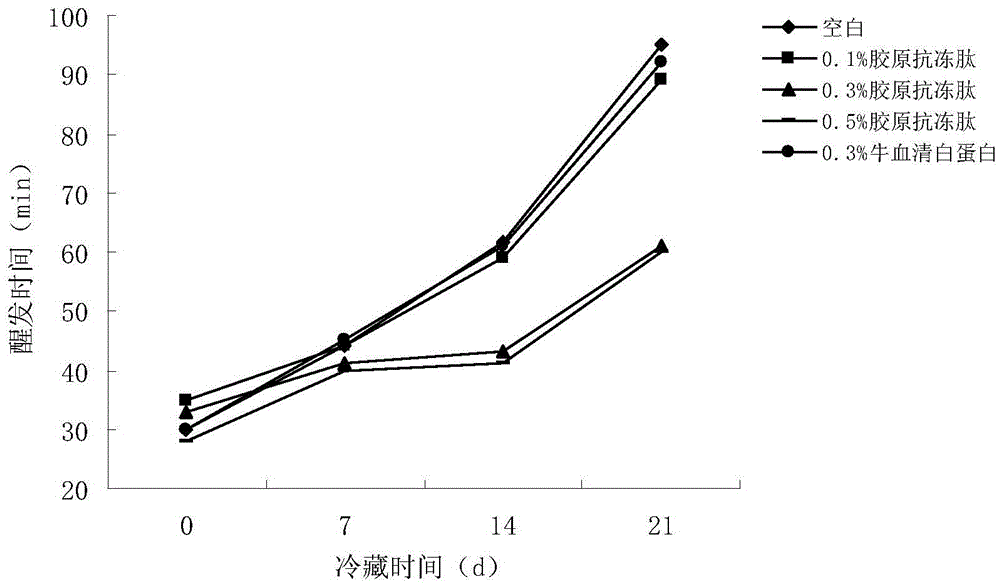 Method for producing frozen dough through antifreeze fermentation of collagen antifreeze peptide