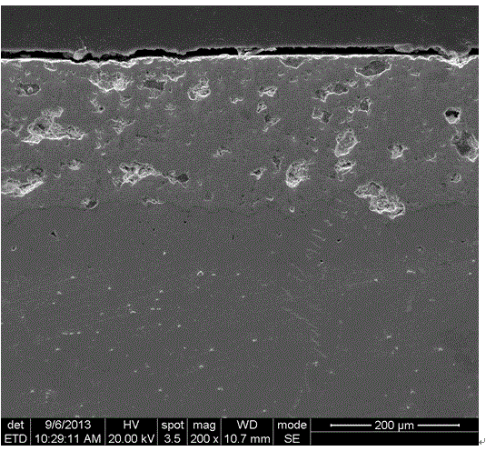 Finite element modeling method based on real material microstructure