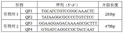 Primer and reagent kit of differentiating virulent and attenuated Newcastle disease viruses and differential detection method