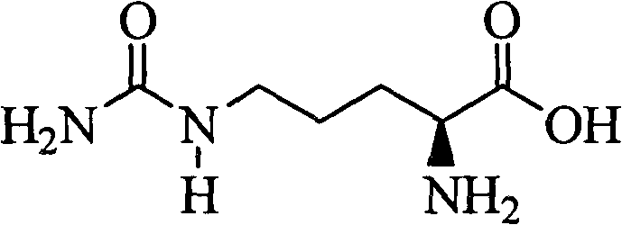 Use of L-citrulline in preparation of anti-gastric ulcer drugs