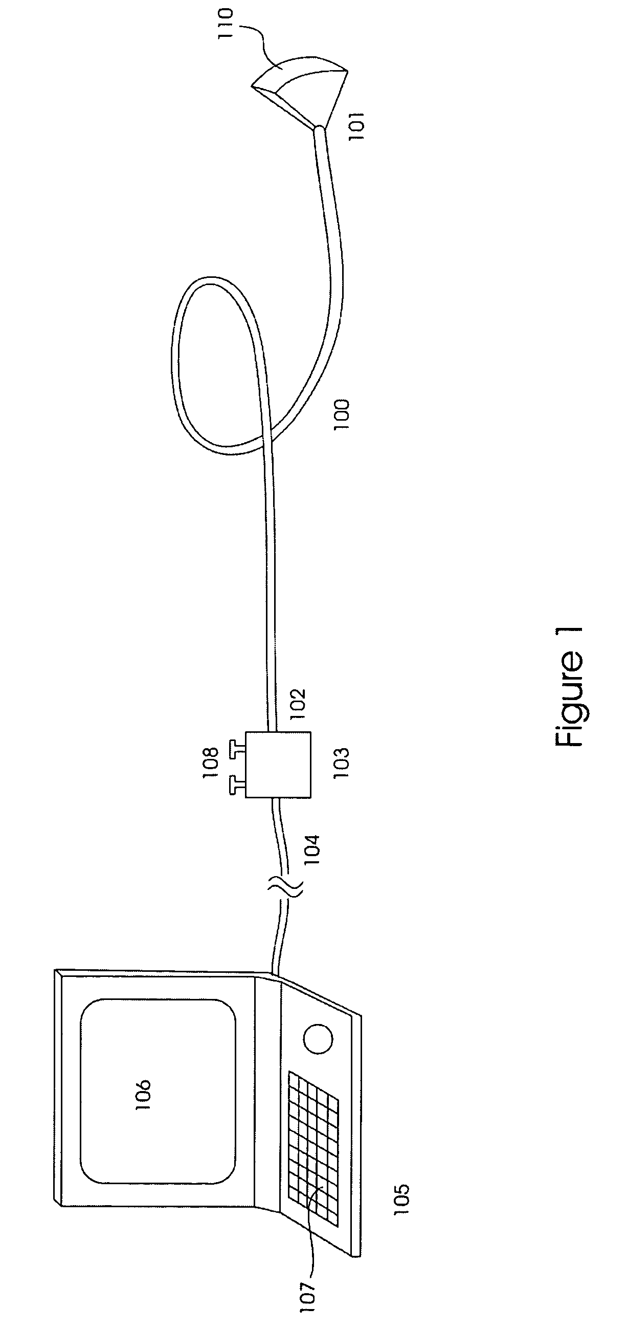 Extended, ultrasound real time 3D image probe for insertion into the body