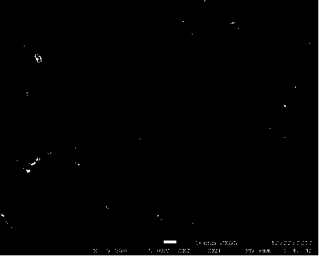 Synthetic method of titanium dioxide self-assembled particles