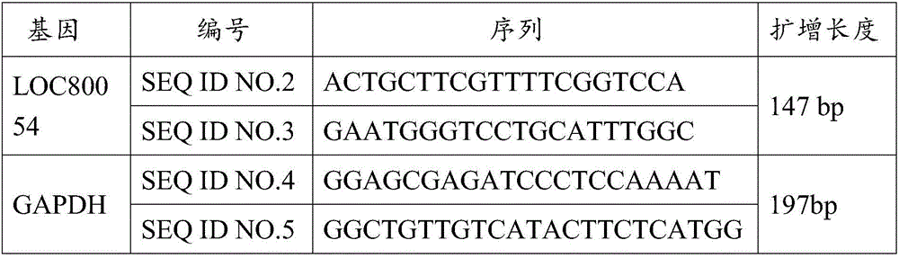 Application of LOC80054 in diagnosis or prognosis of pancreatic cancer