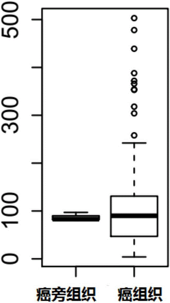 Application of LOC80054 in diagnosis or prognosis of pancreatic cancer